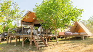 Tienda safari Desert Lodge con baño privado, terraza de madera, árboles verdes y ambiente soleado.
