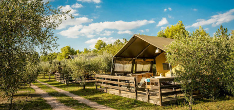 Tenda Safari Lodge immersa tra ulivi in una giornata soleggiata, con veranda e vista sulla natura.
