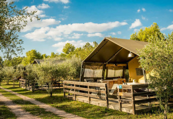 Tienda Safari Lodge entre olivos en un día soleado, con terraza de madera y entorno natural agradable.