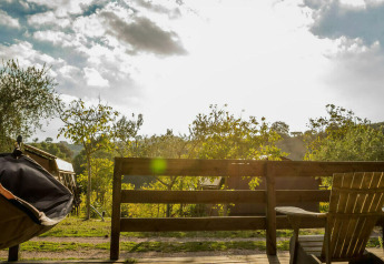View from a safari tent deck at Camping Pian di Boccio in Italy with sunlight over trees and chairs.