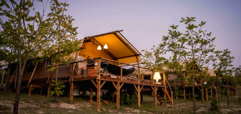 Tienda safari llamada Desert Lodge con baño privado, terraza elevada, árboles alrededor e iluminación nocturna.