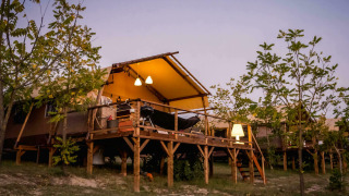 Tienda safari llamada Desert Lodge con baño privado, terraza elevada, árboles alrededor e iluminación nocturna.