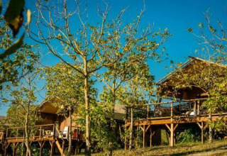 Bungalow in legno su terrazze sopraelevate tra gli alberi al Camping Pian di Boccio, Umbria, Italia.