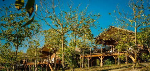 Chalets en bois surélevés parmi les arbres du Camping Pian di Boccio, parc de vacances en Ombrie, Italie.