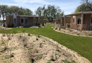 Cabañas de madera con césped y plantas jóvenes en EuroParcs Veluwemeer, Países Bajos, bajo cielo soleado.