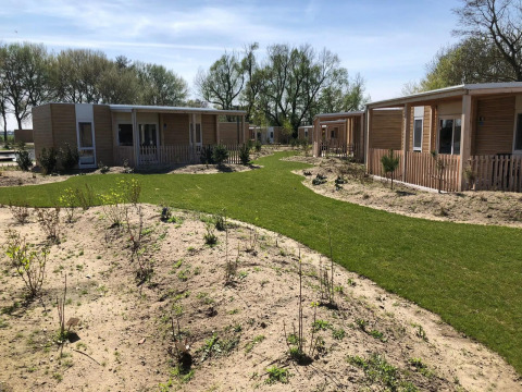 Cabañas de madera con césped y plantas jóvenes en EuroParcs Veluwemeer, Países Bajos, bajo cielo soleado.