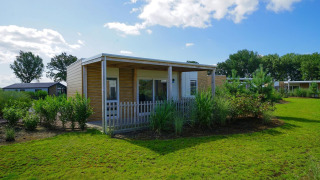 Een moderne, gezellige lodge genaamd Cosy Unique, met terras, omringd door gras en bomen op een zonnige dag.