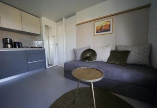 Salon moderne et coin cuisine élégamment décorés au lodge Cosy Unique d’EuroParcs Veluwemeer, Pays-Bas.