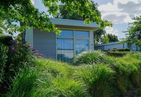 Gemütliche Pavilion-Lodge mit großen Fenstern, umgeben von grünen Büschen und Blumen an einem sonnigen Tag.