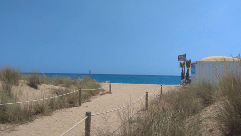 Camino de arena hacia la playa en Camping del Mar, Cataluña, España, con vegetación y mar azul.