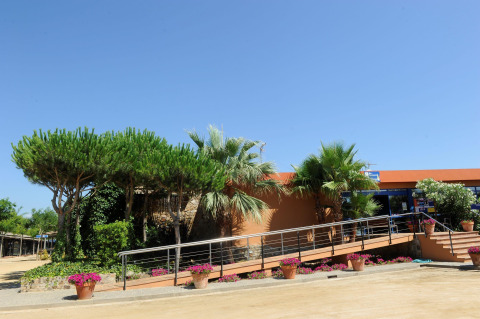 Camping del Mar in Catalonia, Spain, featuring an accessible ramp, palm trees, pines, flowers, and clear sky.