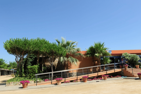 Camping del Mar in Catalonië, Spanje, met een toegankelijke helling, palmbomen en kleurrijke bloempotten.