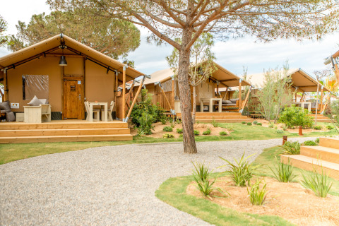 Safaritenten bij Glamping Mar op Camping del Mar in Spanje, met houten veranda’s en groene tuin.