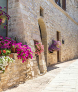 Calle empedrada con muros de piedra decorados con flores cerca de Bevagna, una ciudad pintoresca en Umbría, Italia.