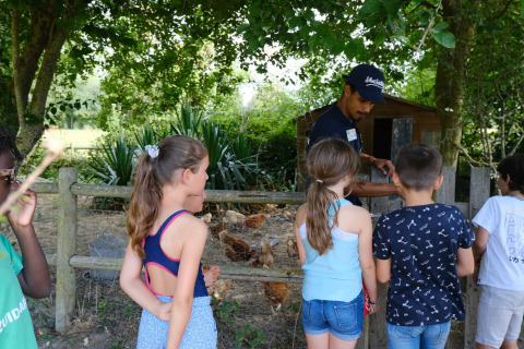 Kinderen en een volwassene leren bij een kippenhok op Camping Seasonova Haliotis in Normandië, Frankrijk.