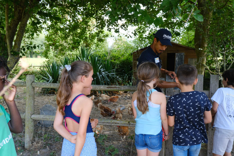 Children and an adult learning about chickens by a fence at Camping Seasonova Haliotis holiday park in Normandy, France.