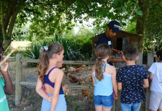 Bambini e un adulto imparano sulle galline vicino a una recinzione al Camping Seasonova Haliotis in Normandia, Francia.