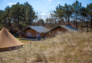 Tiendas safari en Lodge Escape en Little Canvas Escape, Países Bajos, rodeadas de hierba y árboles.