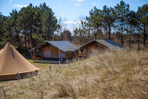 Safari-Zelte im Little Canvas Escape Niederlande, umgeben von Bäumen und Gras unter blauem Himmel.