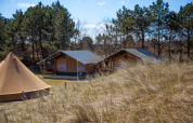 Safari tents at Lodge Escape, Little Canvas Escape, Netherlands, surrounded by grass and pine trees.