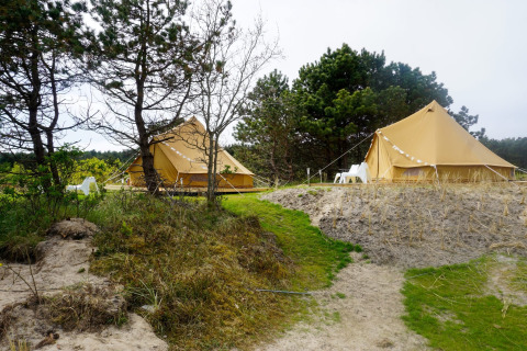 Dos tiendas tipo tipi en Little Canvas Escape, Países Bajos, rodeadas de árboles, arena y césped.