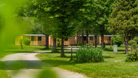 Cabañas de madera en Drau Camping Sachsenburg, Carintia, Austria, rodeadas de árboles verdes y naturaleza.