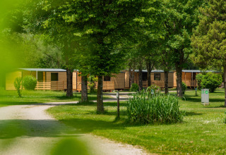 En fredelig scene i Drau Camping Sachsenburg, Carinthia, Østrig, med træbeklædte hytter blandt grønne træer.