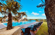Area piscina all'aperto con palme e lettini al Camping Seasonova Les 7 Iles, in Bretagna, Francia.