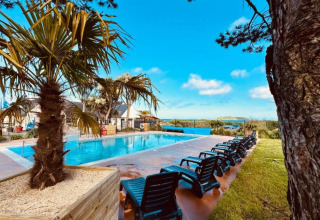 Area piscina all'aperto con palme e lettini al Camping Seasonova Les 7 Iles, in Bretagna, Francia.