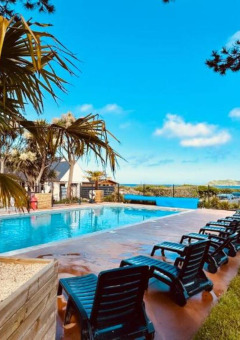 Zona de piscina al aire libre con palmeras y tumbonas en Camping Seasonova Les 7 Iles, Bretaña, Francia.