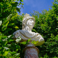 Busto de mármol blanco sobre columna rodeado de hojas verdes bajo cielo azul, cerca de Versailles, Francia.