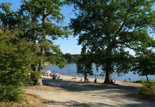 Uitzicht op een meerstrand waar mensen zwemmen en ontspannen onder bomen bij Camping L'Etang des Bois.