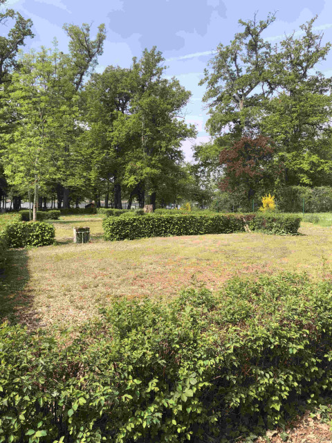 Green trees and hedges under a bright sky at Camping Seasonova L'Etang des Bois, Centre-Val de Loire, France.