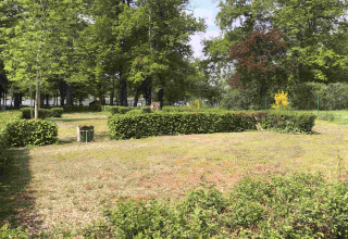 Green trees and hedges under a bright sky at Camping Seasonova L'Etang des Bois, Centre-Val de Loire, France.