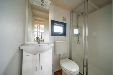 Baño moderno en una tiny house en EuroParcs Veluwemeer con ducha, inodoro y lavabo.