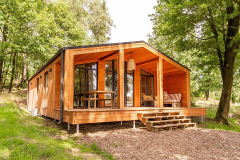 Cabaña Forresthouse Scandi de madera moderna con porche cubierta, ubicada en un claro soleado del bosque.