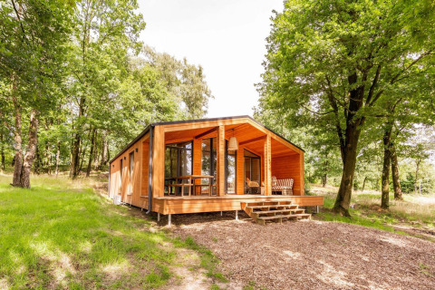 Lodge Forresthouse Scandi en Wilsumer Berge, Alemania, rodeado de árboles altos y naturaleza tranquila.