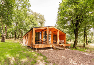 Lodge Forresthouse Scandi en Wilsumer Berge, Alemania, rodeado de árboles altos y naturaleza tranquila.