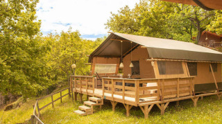 The Desert Lodge safari tent is elevated on a wooden deck surrounded by lush green forest and sunshine.
