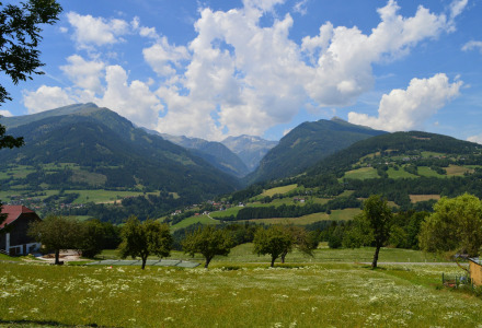 Vista panorámica de campos verdes, árboles y montañas cerca de Sachsenburg, Carintia, Austria bajo cielo nublado.