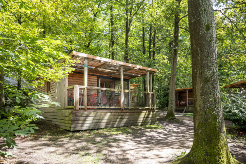 Holzhütte Chalet Evasion bei Huttopia Versailles in Frankreich, umgeben von grünem Wald und Bäumen.