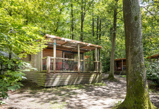 Træhytte kaldet Chalet Evasion ved Huttopia Versailles i Frankrig, omgivet af frodig grøn skovnatur.