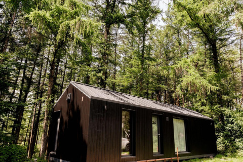 Koya Tiny Cabin at Wilsumer Berge, Germany, nestled among tall green trees on a bright sunny day.