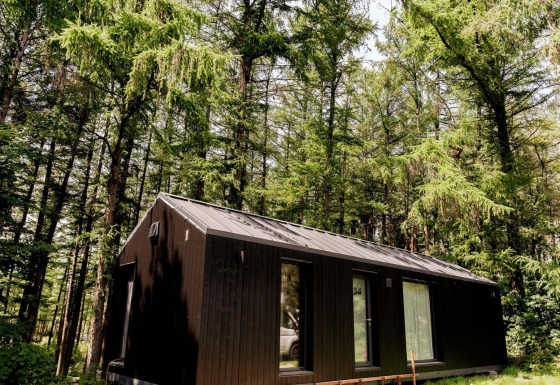 Koya Tiny Cabin at Wilsumer Berge, Germany, nestled among tall green trees on a bright sunny day.