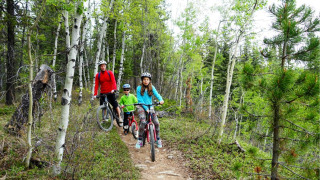 Une famille fait du vélo sur un sentier forestier dans un parc de vacances proposant des logements glamping.