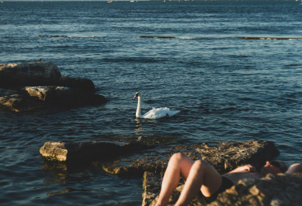 Personne se relaxant sur des rochers près du lac dans un parc de vacances, avec un cygne nageant au coucher du soleil.