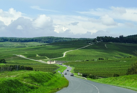 Una carretera serpentea entre campos verdes cerca de Oberbronn, Grand Est, Francia, bajo un cielo nublado.