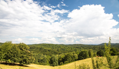 Collines ondulées et paysage boisé autour de Gorica Lipnička, Karlovac, Croatie, sous un ciel partiellement nuageux.