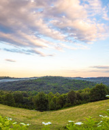 Paisaje cerca de Gorica Lipnička, Karlovac, Croacia, con colinas verdes, bosques y flores silvestres al frente.