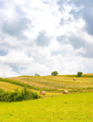 Campos ondulados cerca de Gorica Lipnička, Karlovac, Croacia, con pacas de heno y cielo nublado.